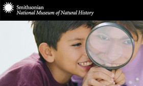 Smithsonian – National Museum of Natural History